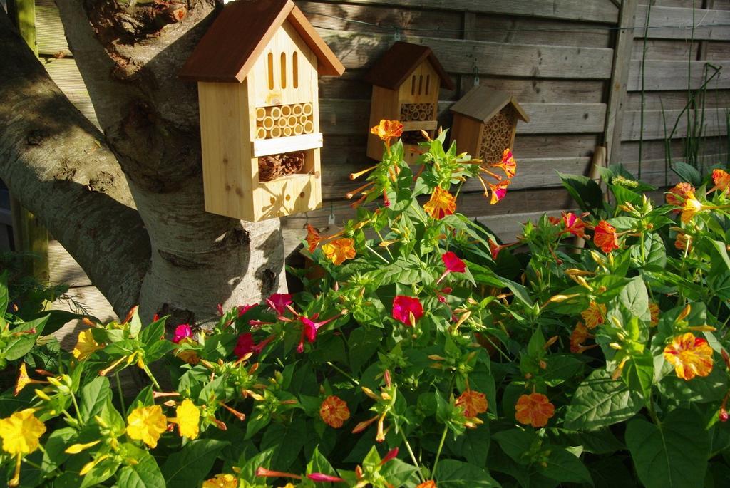 Bed and Breakfast O'Maxethel Soullans Екстер'єр фото